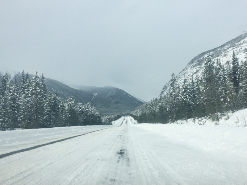 icefield parkway